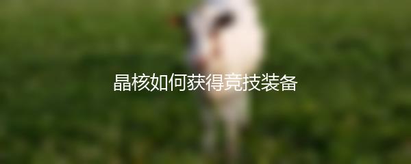 晶核如何获得竞技装备