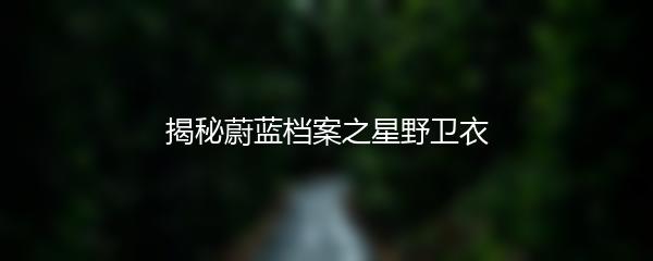 揭秘蔚蓝档案之星野卫衣