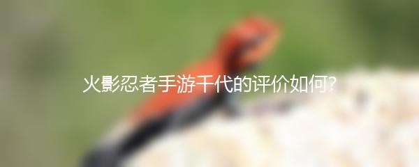 火影忍者手游千代的评价如何？