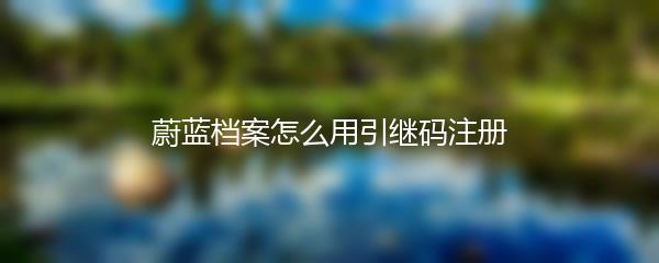 蔚蓝档案怎么用引继码注册
