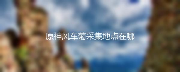 原神风车菊采集地点在哪