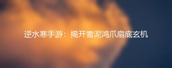 逆水寒手游：揭开雪泥鸿爪扇底玄机