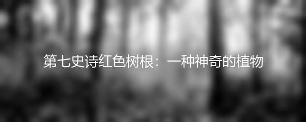 第七史诗红色树根：一种神奇的植物