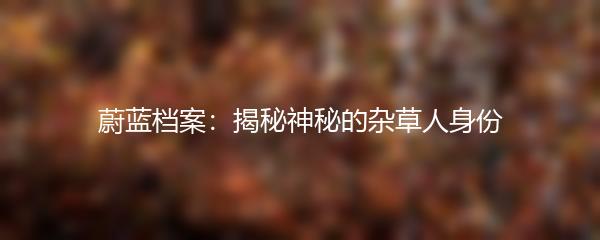 蔚蓝档案：揭秘神秘的杂草人身份