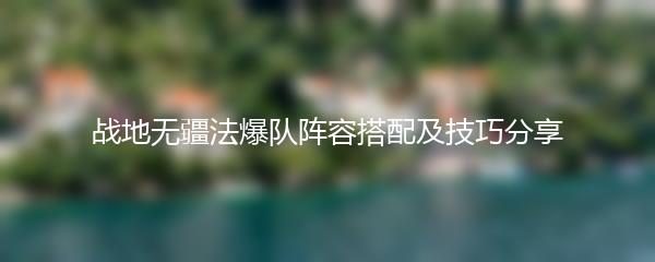 战地无疆法爆队阵容搭配及技巧分享