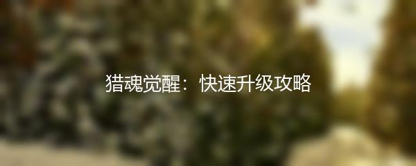 猎魂觉醒：快速升级攻略