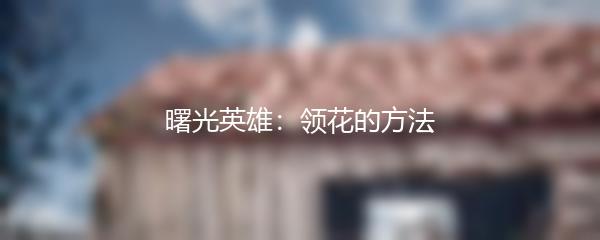 曙光英雄：领花的方法