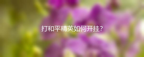 打和平精英如何开挂？