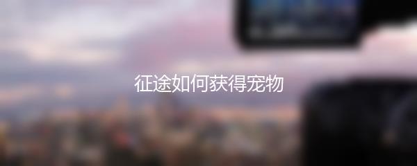 征途如何获得宠物