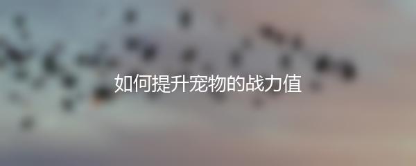 如何提升宠物的战力值