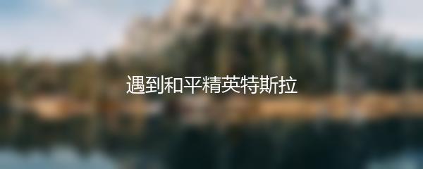 遇到和平精英特斯拉