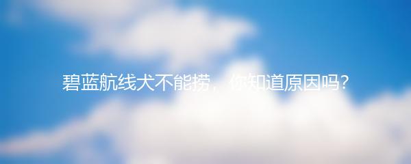 碧蓝航线犬不能捞，你知道原因吗？