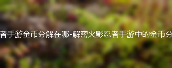 火影忍者手游金币分解在哪-解密火影忍者手游中的金币分解机制
