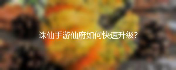 诛仙手游仙府如何快速升级？