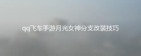 qq飞车手游月光女神分支改装技巧