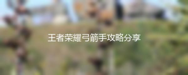 王者荣耀弓箭手攻略分享