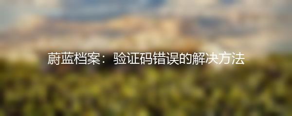 蔚蓝档案：验证码错误的解决方法