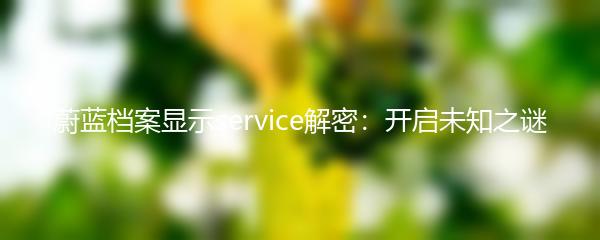 蔚蓝档案显示service解密：开启未知之谜