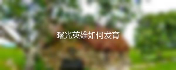 曙光英雄如何发育