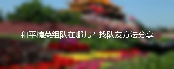 和平精英组队在哪儿？找队友方法分享