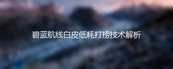 碧蓝航线白皮低耗打捞技术解析