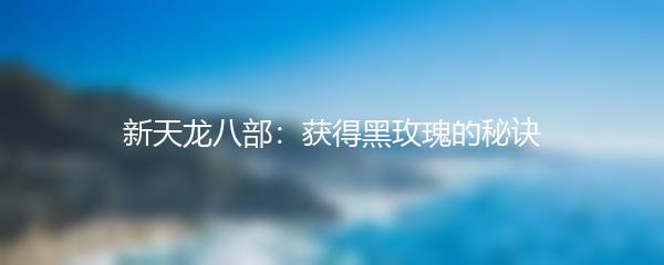 新天龙八部：获得黑玫瑰的秘诀