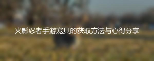 火影忍者手游宠具的获取方法与心得分享