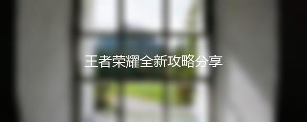 王者荣耀全新攻略分享