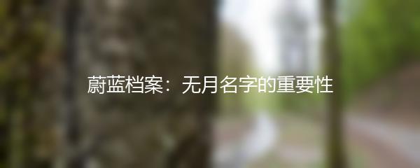 蔚蓝档案：无月名字的重要性