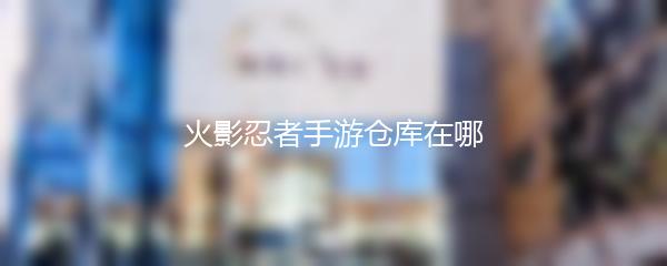 火影忍者手游仓库在哪