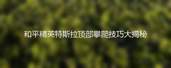 和平精英特斯拉顶部攀爬技巧大揭秘