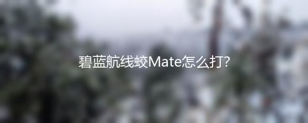 碧蓝航线蛟Mate怎么打？