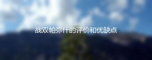 战双帕弥什的评价和优缺点