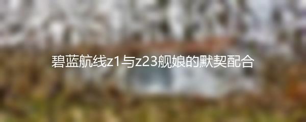 碧蓝航线z1与z23舰娘的默契配合