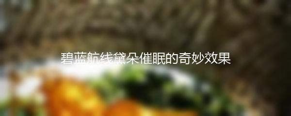 碧蓝航线黛朵催眠的奇妙效果