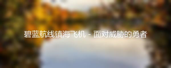 碧蓝航线镇海飞机 - 面对威胁的勇者