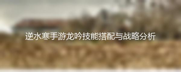 逆水寒手游龙吟技能搭配与战略分析