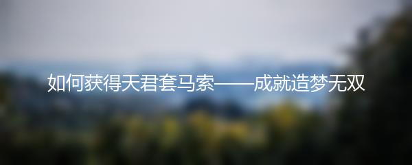 如何获得天君套马索——成就造梦无双