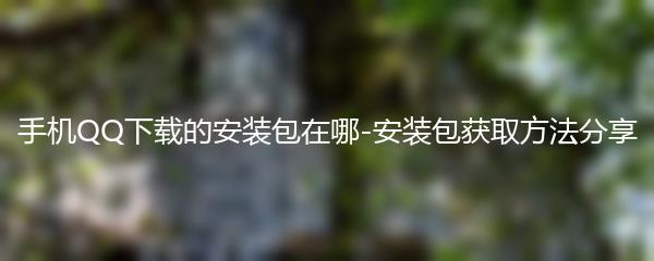 手机QQ下载的安装包在哪-安装包获取方法分享