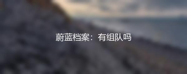 蔚蓝档案：有组队吗