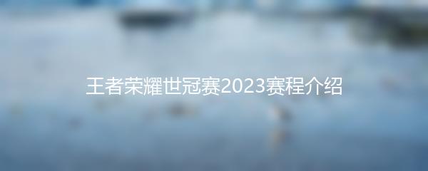 王者荣耀世冠赛2023赛程介绍