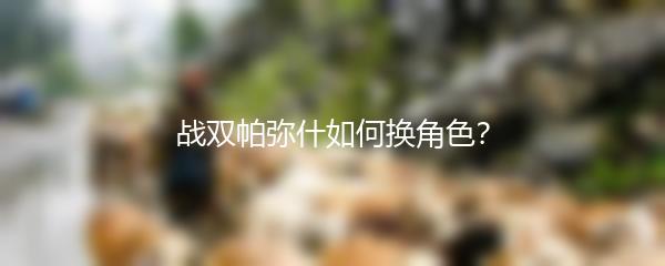 战双帕弥什如何换角色？