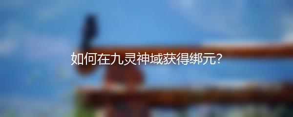 如何在九灵神域获得绑元？