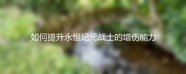 如何提升永恒纪元战士的增伤能力