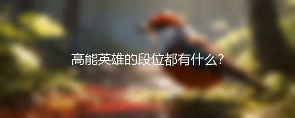 高能英雄的段位都有什么？