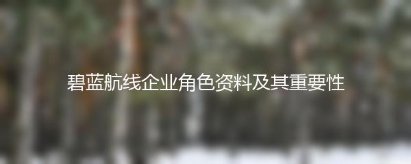 碧蓝航线企业角色资料及其重要性