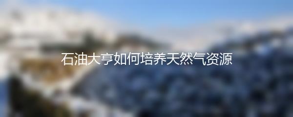 石油大亨如何培养天然气资源