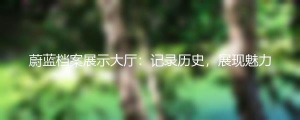 蔚蓝档案展示大厅：记录历史，展现魅力