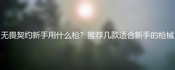 无畏契约新手用什么枪？推荐几款适合新手的枪械