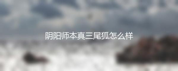 阴阳师本真三尾狐怎么样